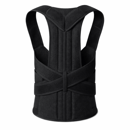 Back Support Belt & Posture Corrector